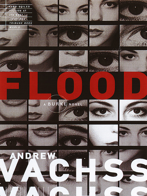 Title details for Flood by Andrew Vachss - Available